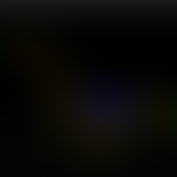 Freitagabend BE im NASDAQ 15.8.25