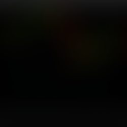 DAX 26.8.2.5 London + 1,6 %