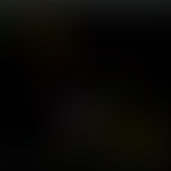 5.8.25 Kleiner Gewinn im DAX 0,25 Plus