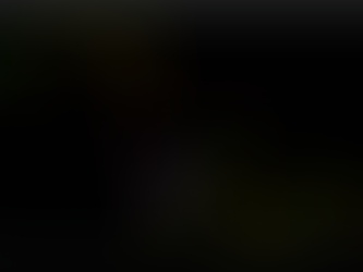 5.8.25 Kleiner Gewinn im DAX 0,25 Plus