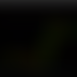 EU/US 12.8.25 +0,4 Kleiner Gewinn am Morgen