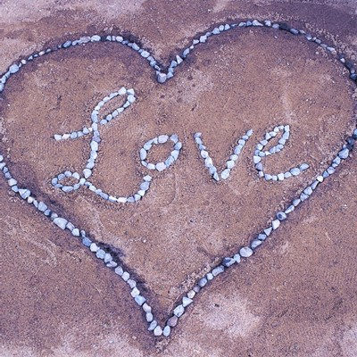 動物たちへの愛