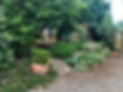 garden and driveway.jpg
