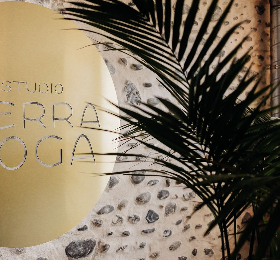 Terra Yoga Pau Studio Yoga