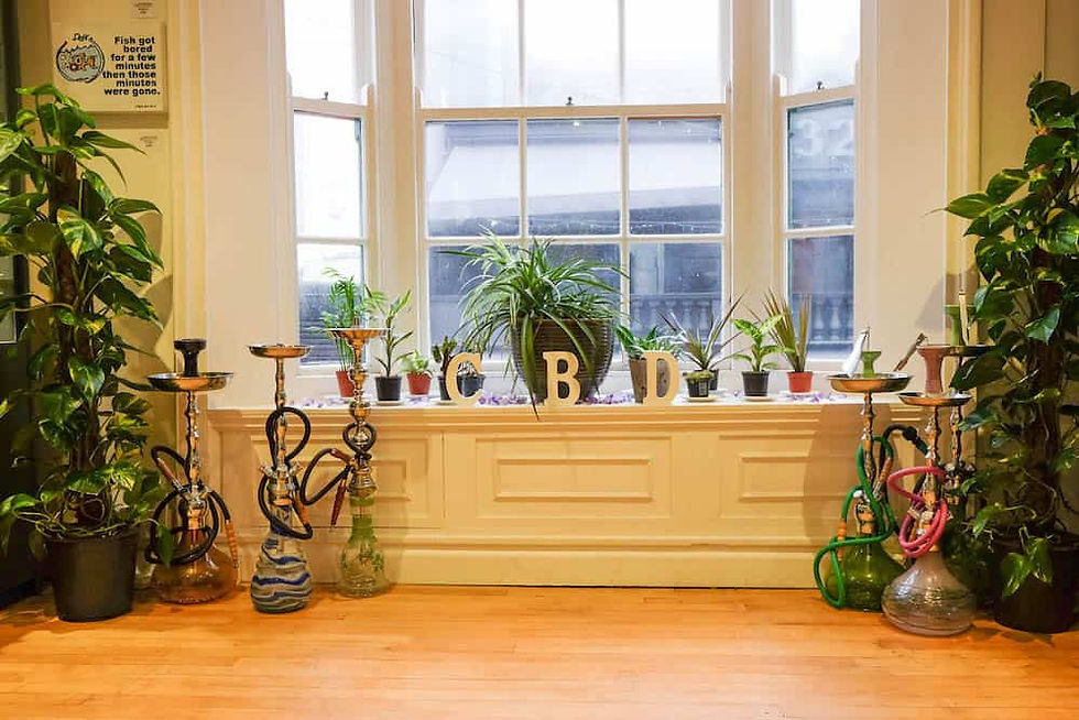 Inside The Canna Kitchen: The United Kingdom's First CBD-Infused Restaurant