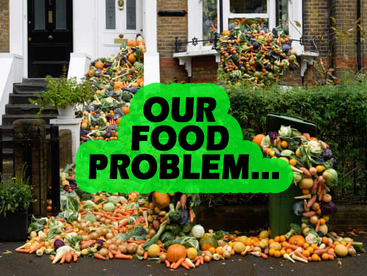 The Effects of Our Food Waste