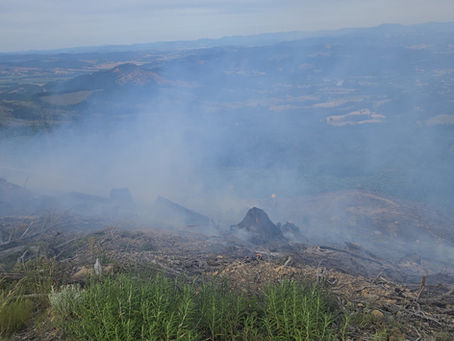 FIRE ACTIVITY IN THE DOUGLAS DISTRICT