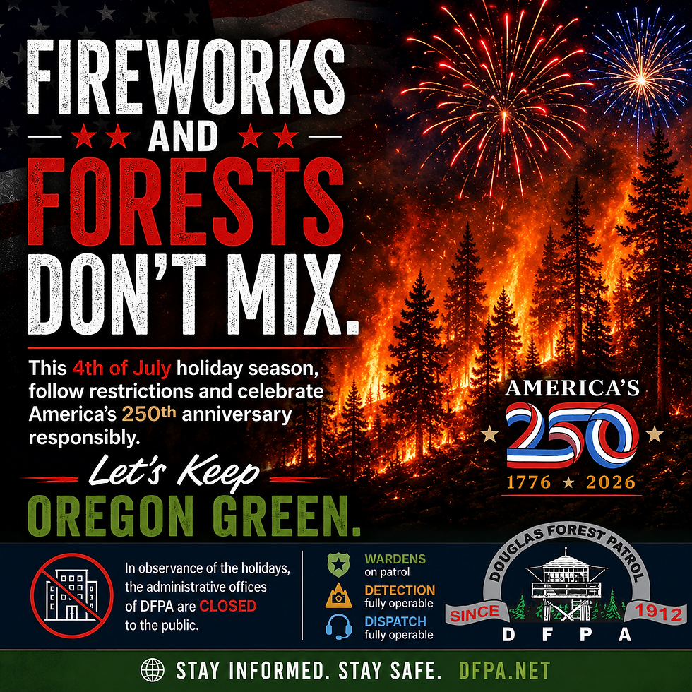 Forests & Fireworks Don't Mix