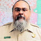 Silia Polamalu .jpg