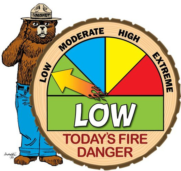 LOW.jpg