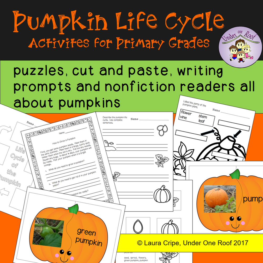 Learning About Life Cycles