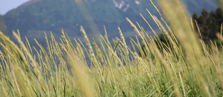 Photo of the Day - 10/9/19