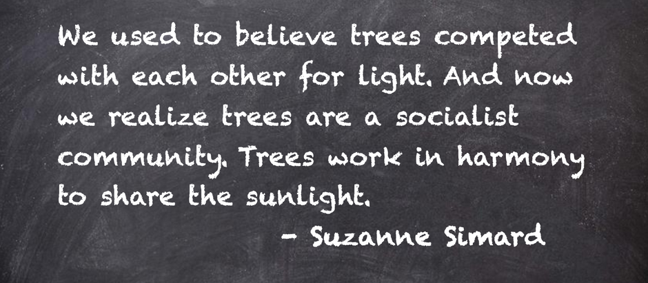 Quote of the Day - 11/18/21