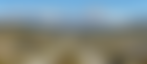 Photo of the Day - 12/8/21