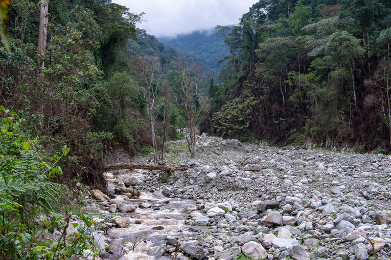 Hanspeter Gass Ruwenzori