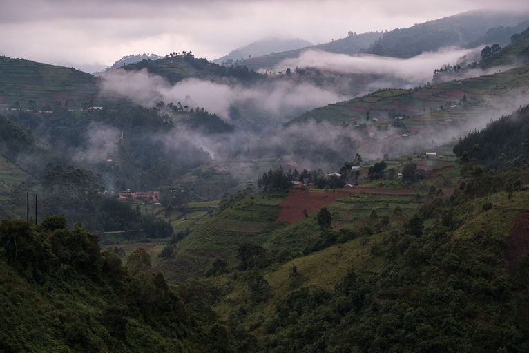 hanspeter Gass Virunga