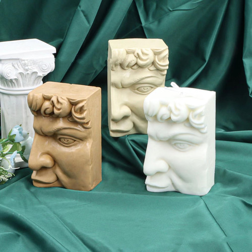3D Half Head David Silicone Mould S'melt Candle Creations Electric