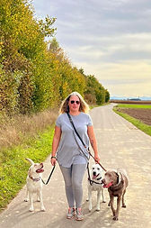 Eine Frau geht mit drei Hunden an der Leine Gassi.
