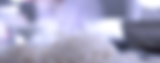 donnai1_edited.png