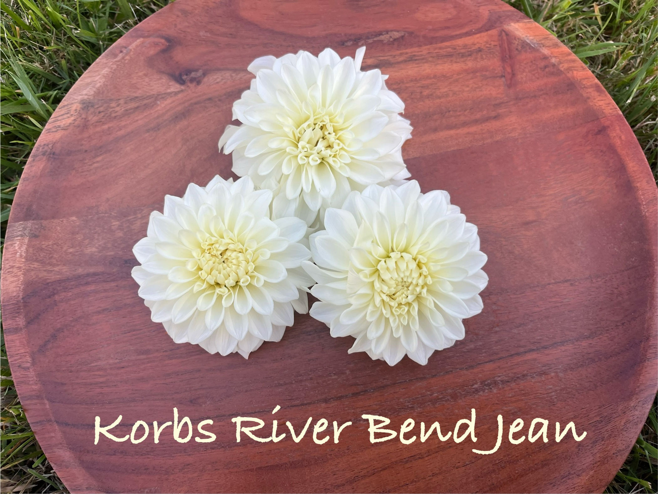 Korb River Bend Jean