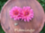 Thumbnail: Flamingo 