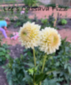 Lee’s Cassava Fizz 