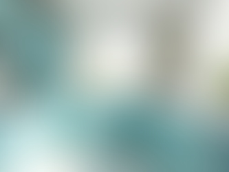 Affordable Residential and Commercial Cleaning Services