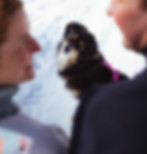 A happy couple with their dog in the snow