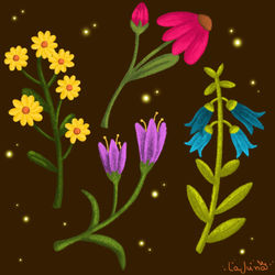 "Florescer"