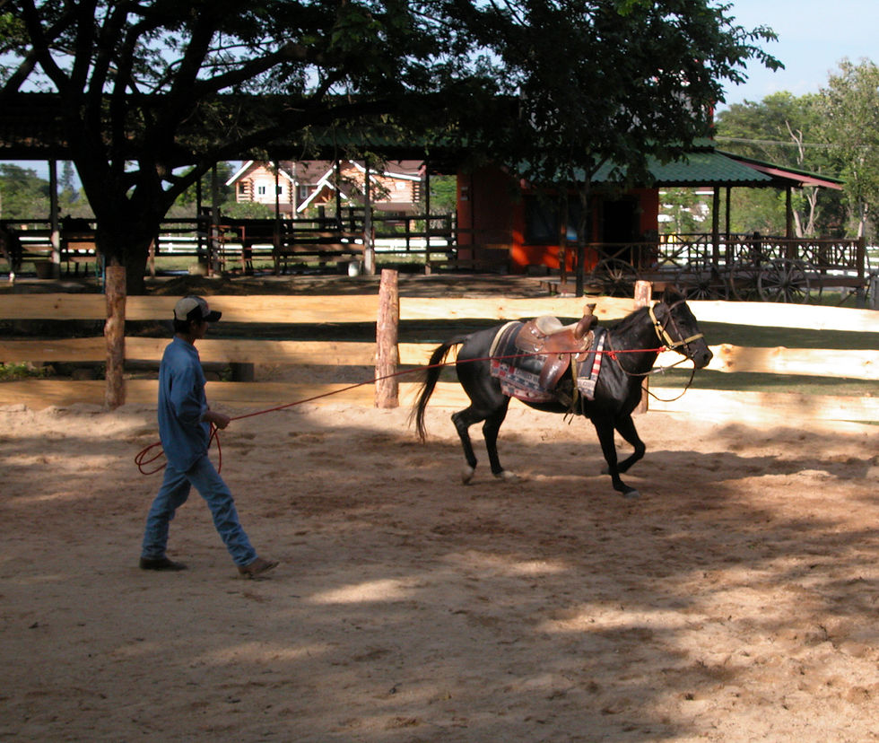 OK Corral Cowboy