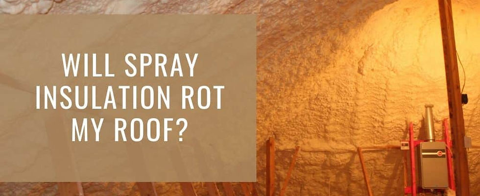 spray foam rot.jpg
