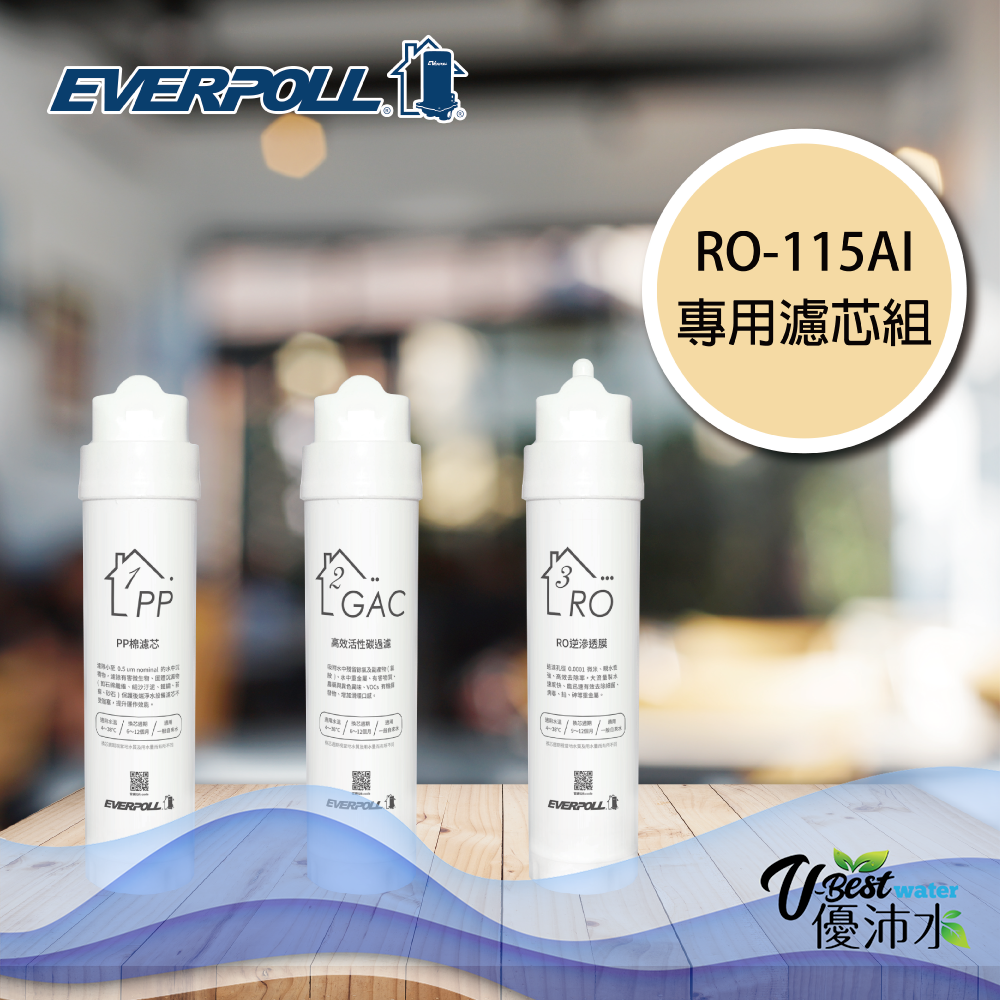 EverpollRO-115AI專用濾芯組(三入組)RO-AI-1Y