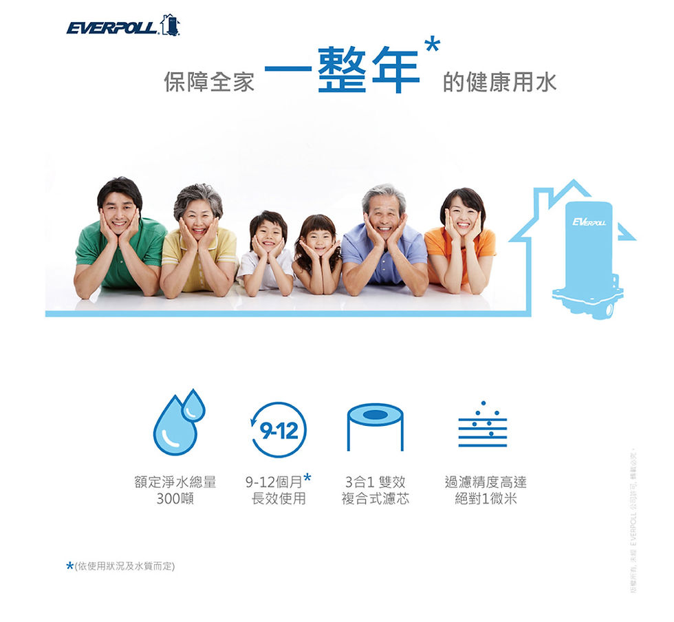 縮圖：Everpoll全戶濾淨雙效濾芯FH-030(傳家寶全戶濾淨FH-301專用濾芯)