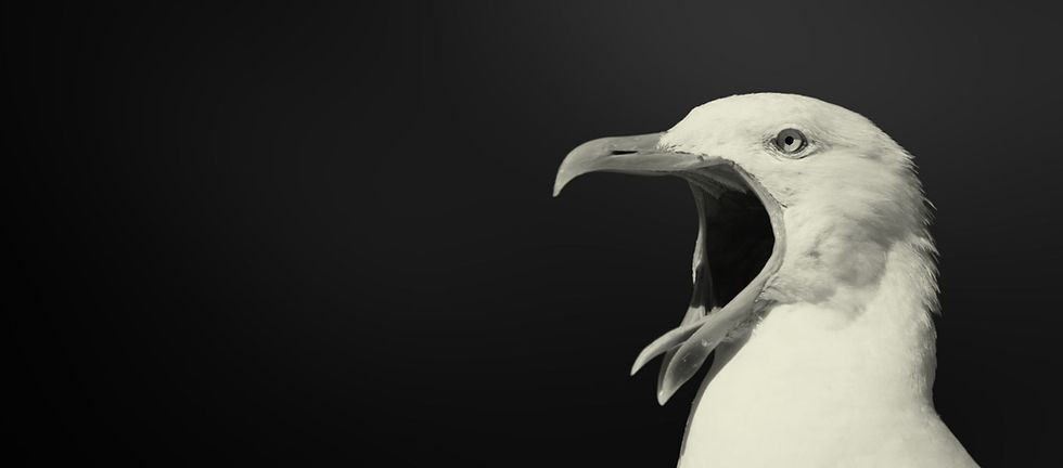 Motivational Desktop Wallpaper _edited.jpg