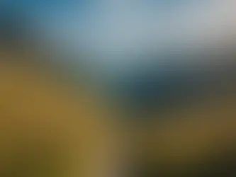 How to Maximize Your Tax Write-Offs While Running a Thriving Travel Venture