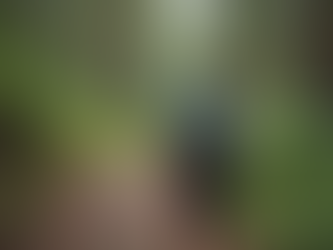 Printed hiking shirt blending with nature