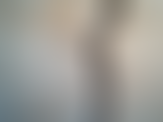 A cracked stone wall representing societal division