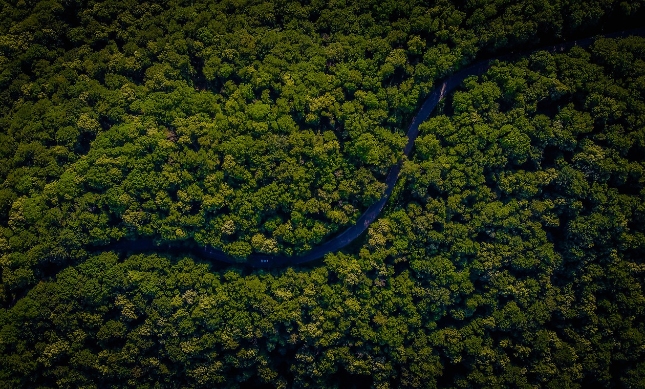 vlad-hilitanu-pt7QzB4ZLWw-unsplash_edite