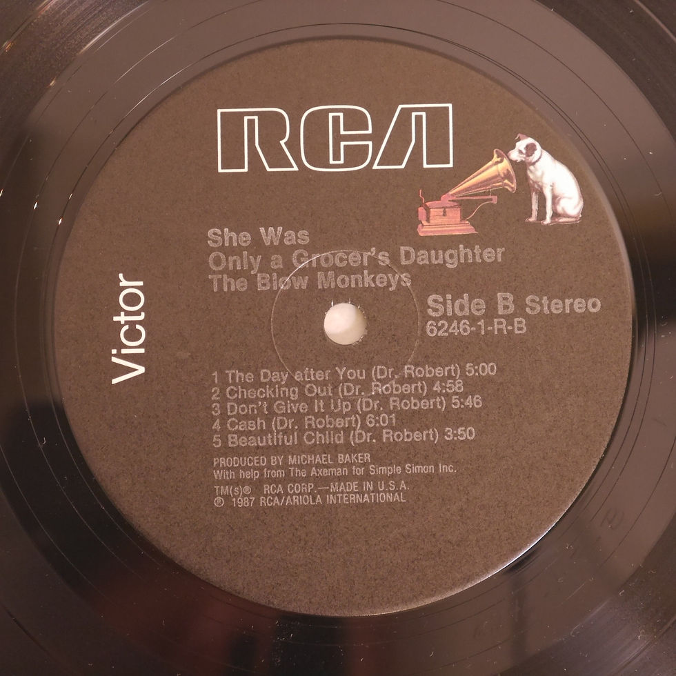 サムネイル： BLOW MONKEYS / She Was Only A Grocer's Daughter