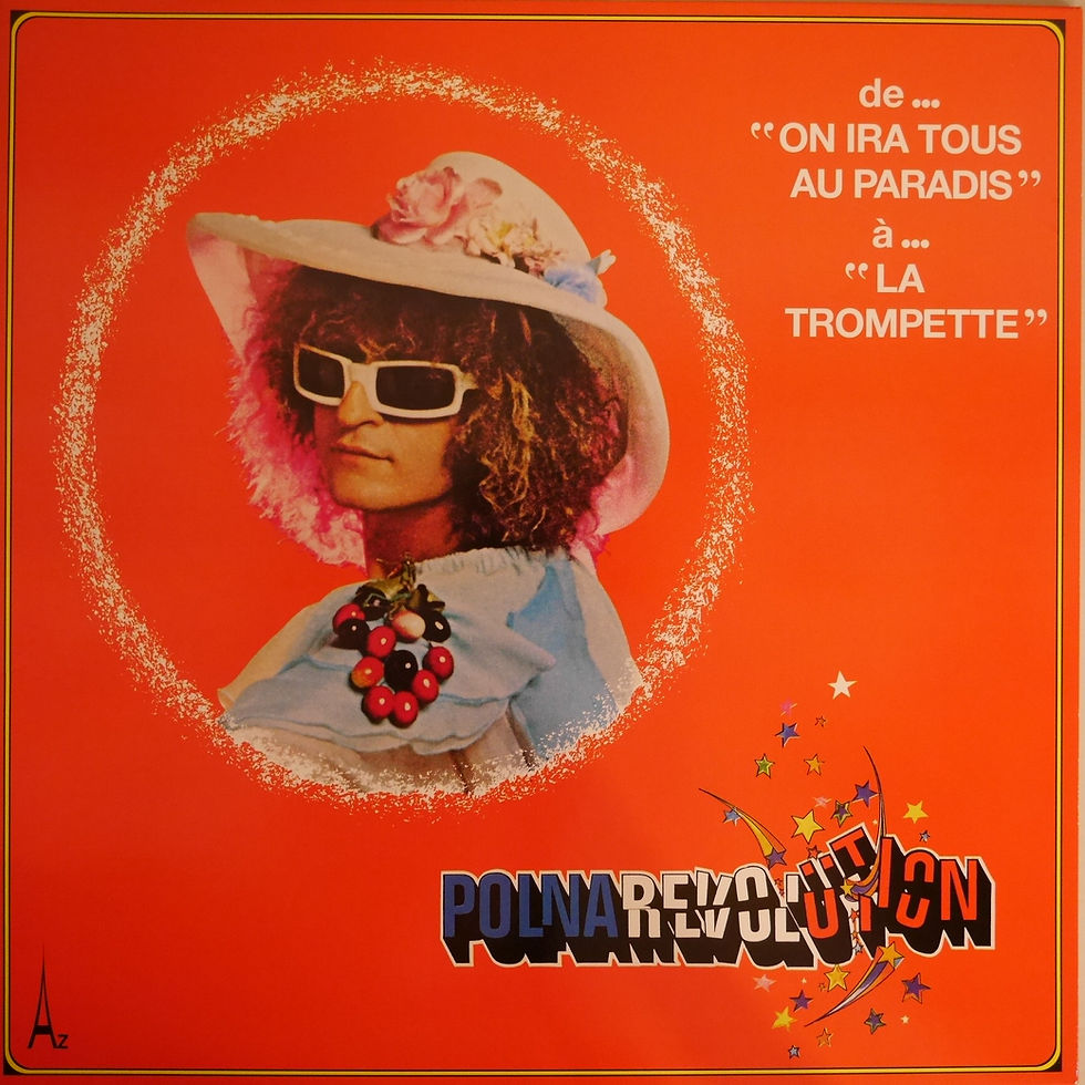 MICHEL POLNAREFF / POLNAREVOLUTION