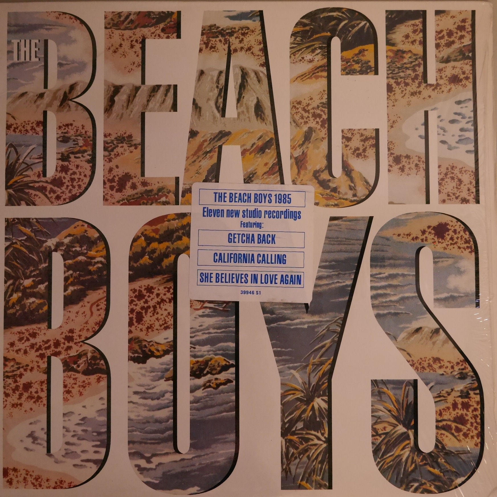 BEACH BOYS / BEACH BOYS