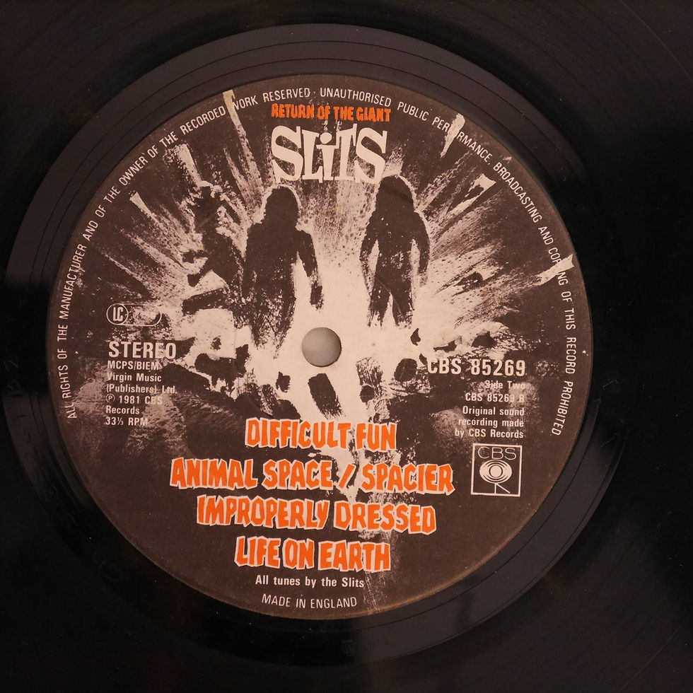 サムネイル： THE SLITS / RETURN OF THE GIANT (大地の音)