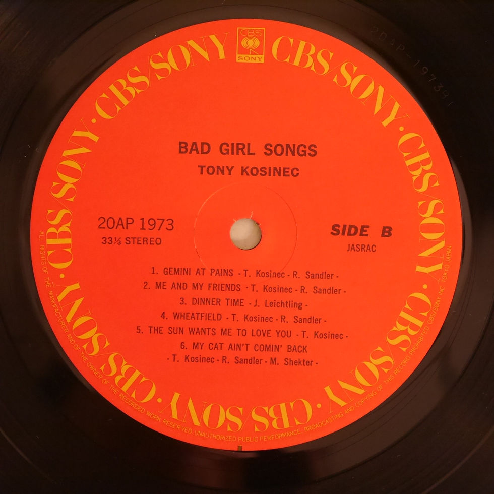 サムネイル： Tony Kosinec / Bad Girl Songs