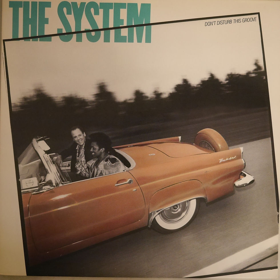 THE SYSTEM / DON'T DISTURB THIS GROOVE