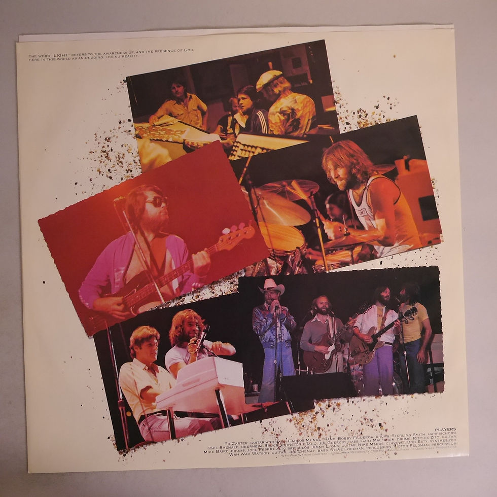 サムネイル： THE BEACH BOYS / L.A. (Light Album)白プロモ