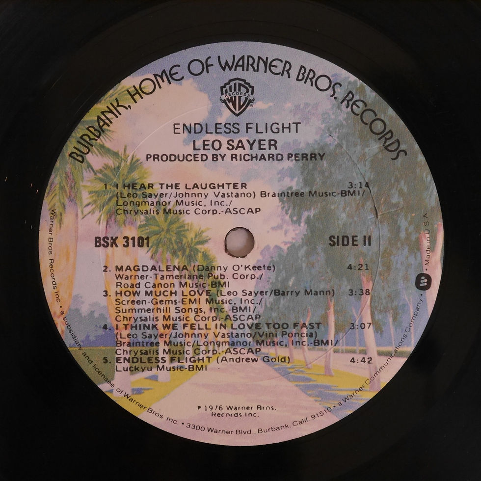 サムネイル： LEO SAYER / ENDLESS FLIGHT