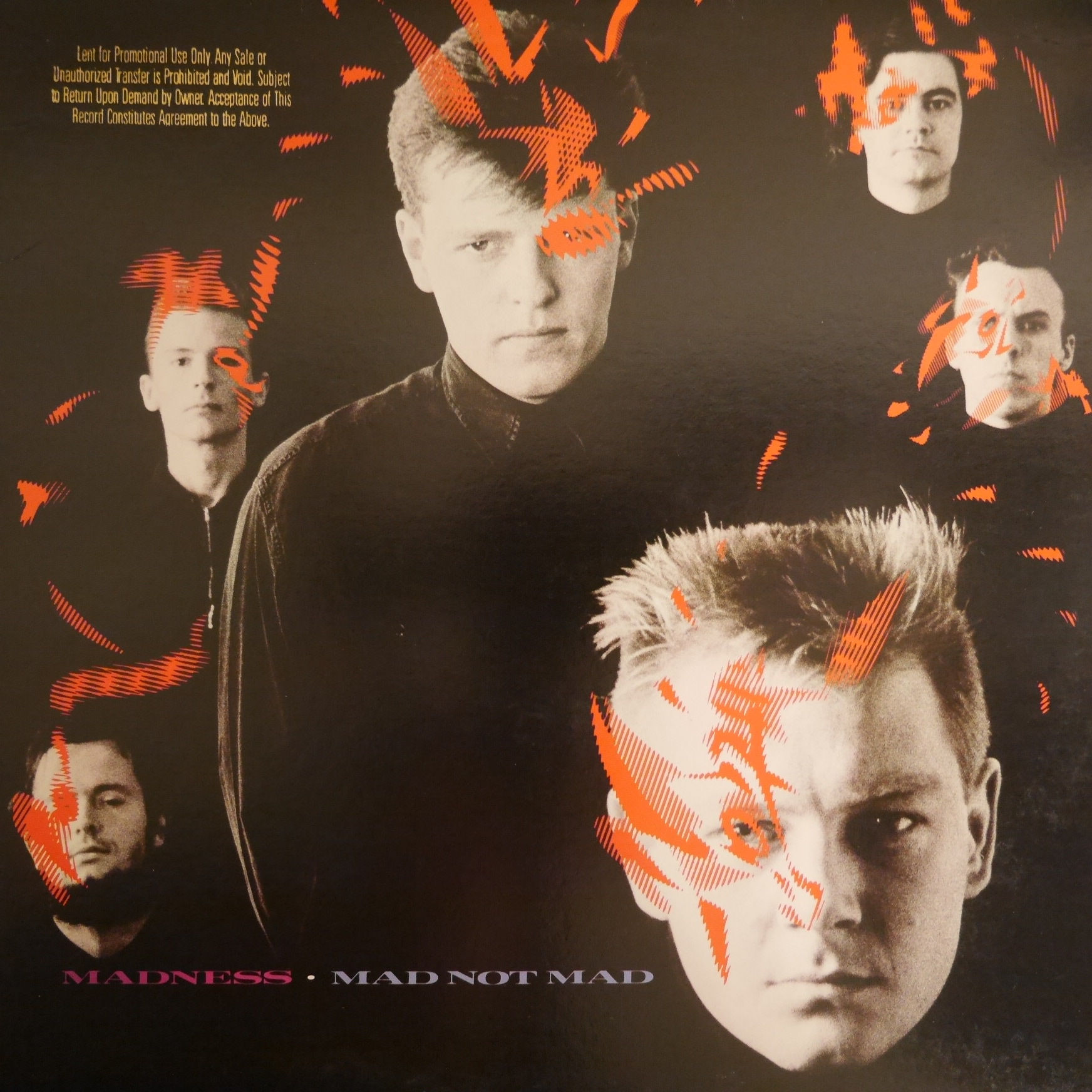 MADNESS / Mad Not Mad