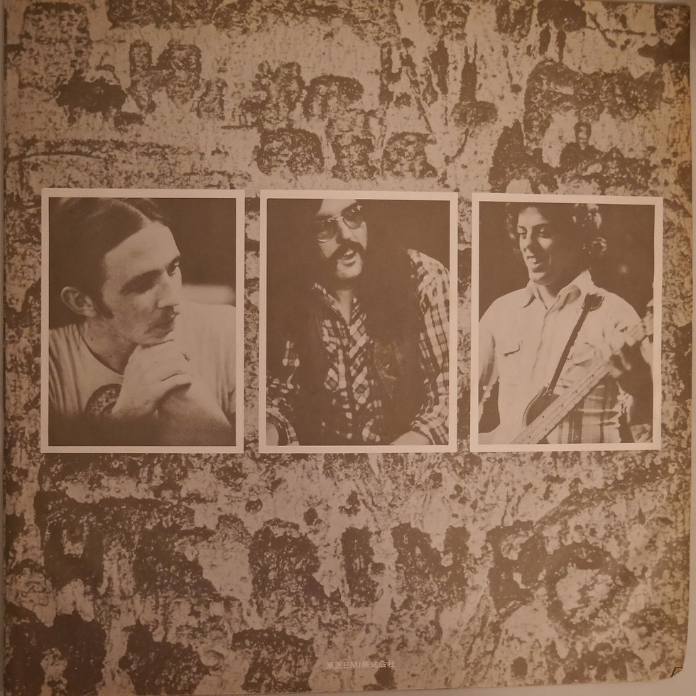 サムネイル： RORY GALLAGHER /AGAINST THE GRAIN
