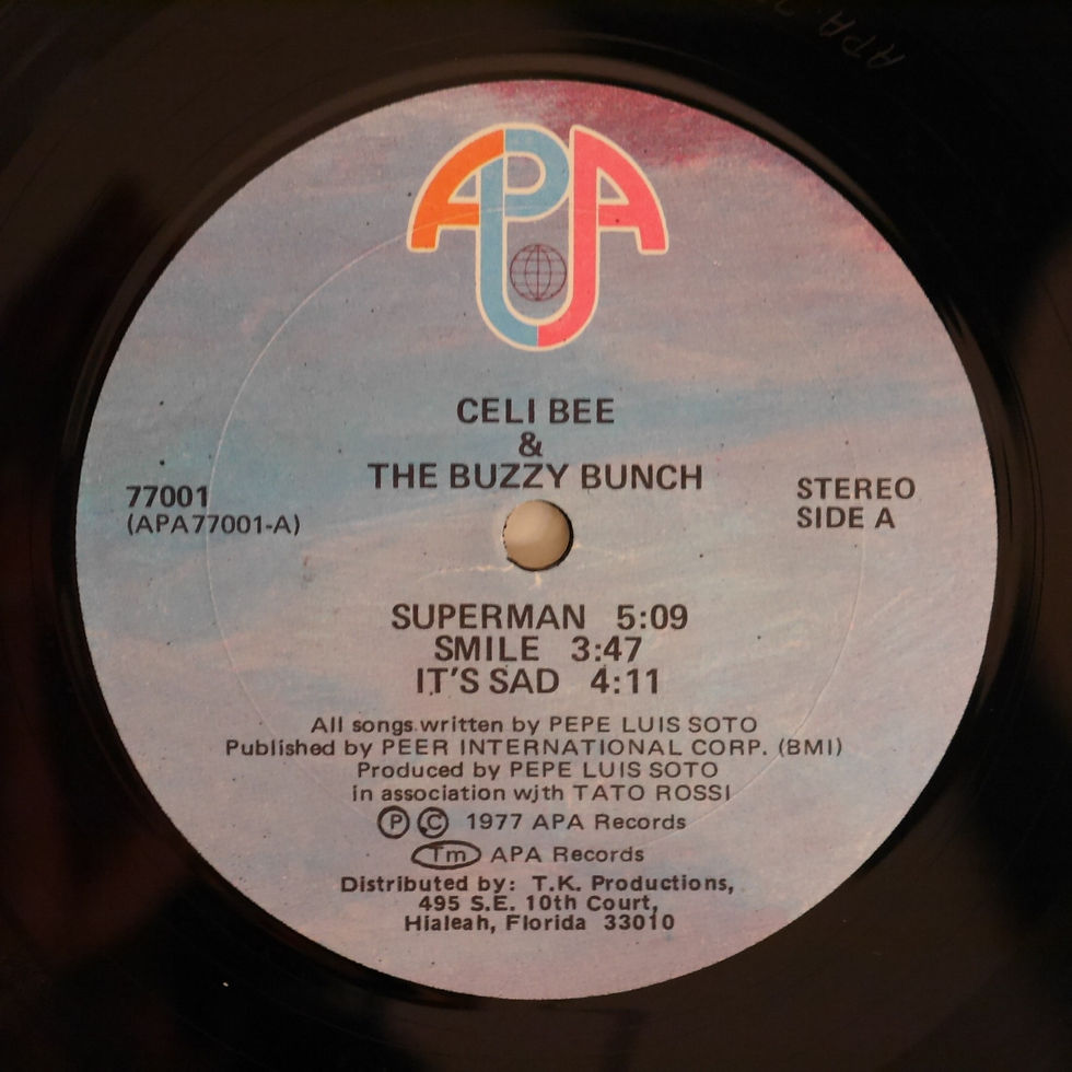 Celi Bee and The Buzzy Bunch