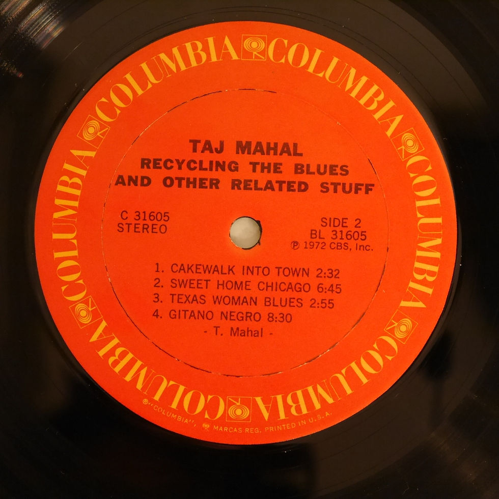 サムネイル： Taj Mahal / Recycling The Blues & Other Related Stuff